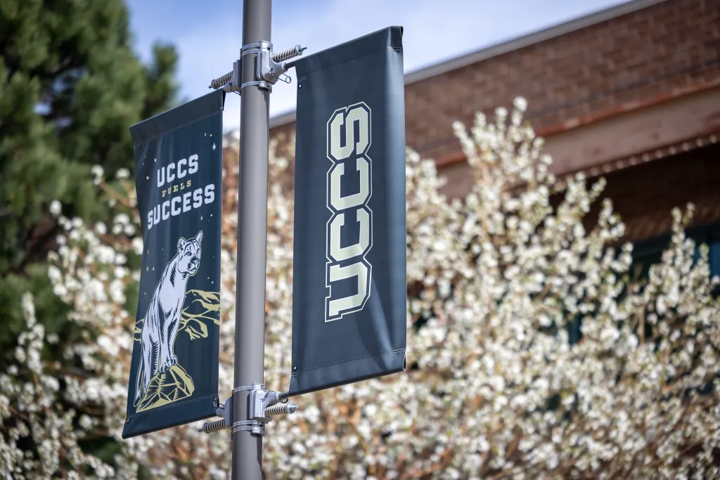 UCCS flags